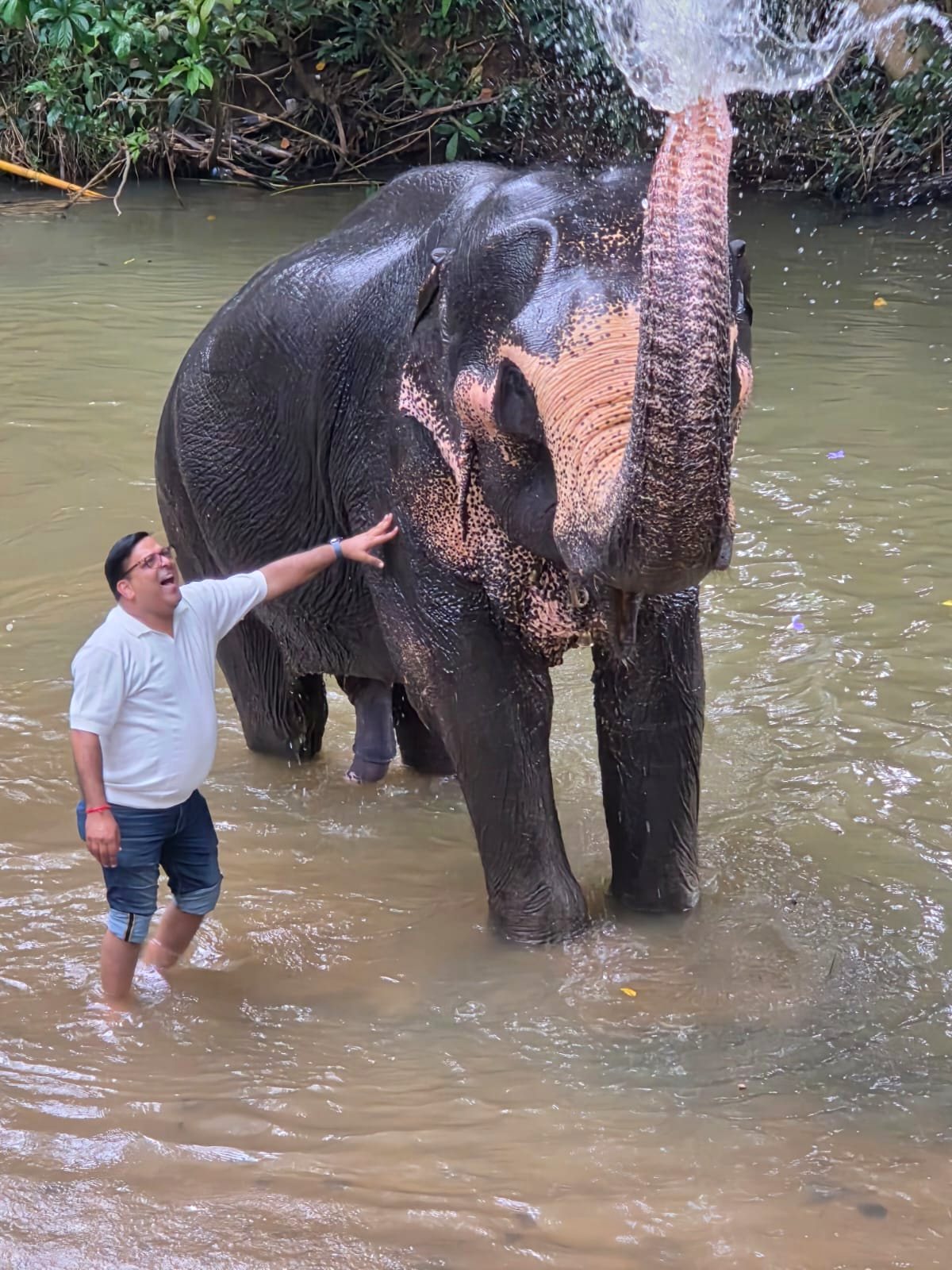 Guest bathing an elephant in the river