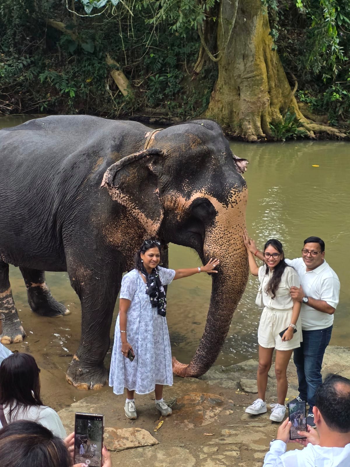 Guests with elephants by the river